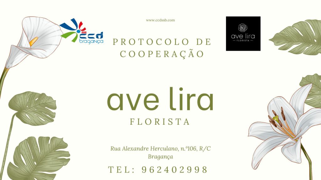 Protocolo AleLira 1024x576
